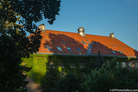 The University's Botanical Garden
