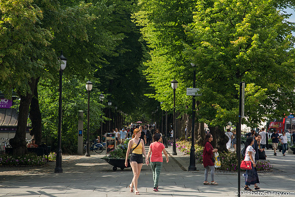 On the street of Oslo