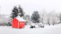 2026 - Snow in New Milford, CT