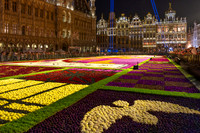 2026 - Brussels Flower Carpet