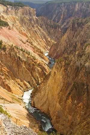 The Canyon