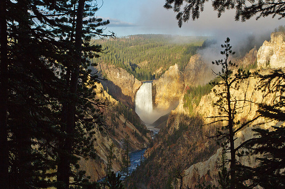 The Canyon