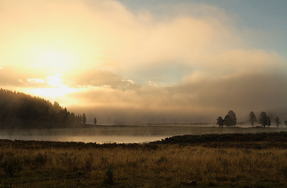 The Morning
