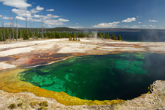 The Color of the Wonder