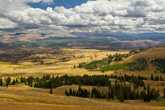 The Land and the Sky