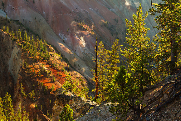 The Canyon