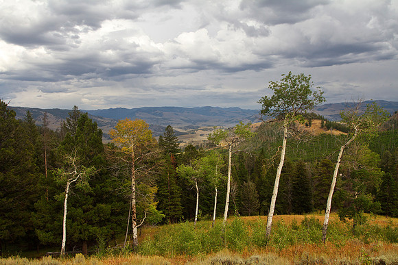 The Land and the Sky