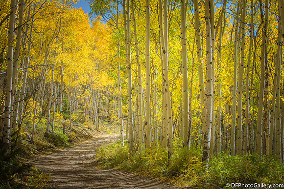 Maroon Bell near Aspen