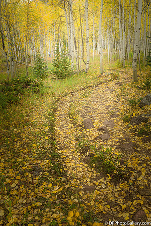 Maroon Bell near Aspen
