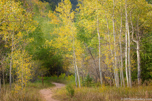 Maroon Bell near Aspen