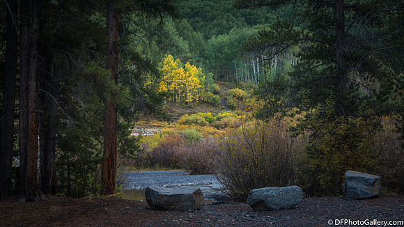 Around Oh Be Joyful Campground