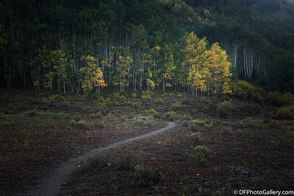 Around Oh Be Joyful Campground