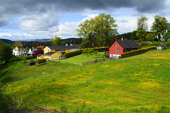 Area surrounding the Museum