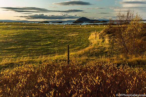 Around Mývatn Lake
