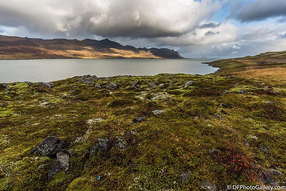 View from the Ring Road along East Fjord