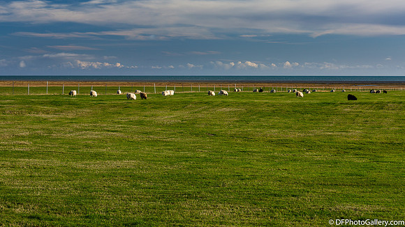 View from south side of Ring Road.