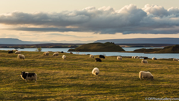 Around Mývatn Lake
