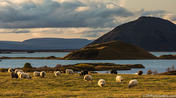Around Mývatn Lake