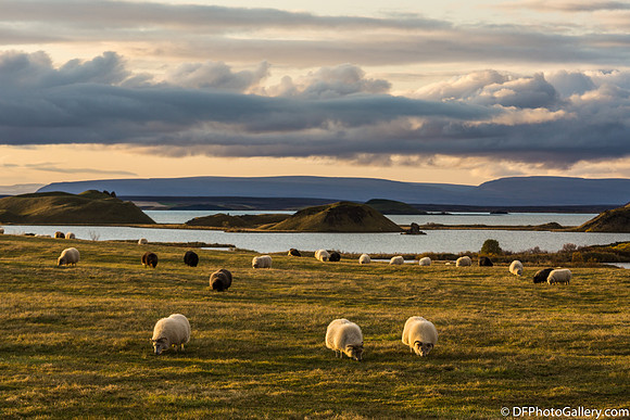 Around Mývatn Lake