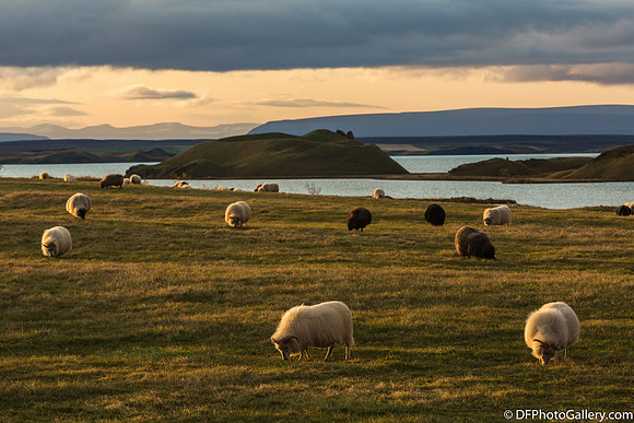 Around Mývatn Lake