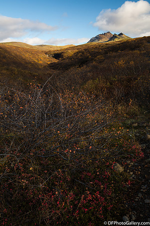 Vatnajökull National Park