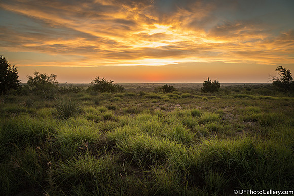 Texas sunrise is always a wonder.