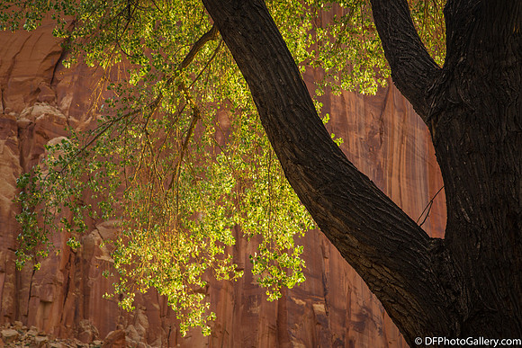 Fruita District - Capitol Reef NP