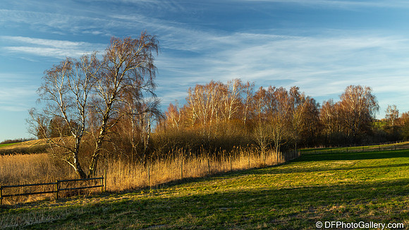 Copenhagen countryside