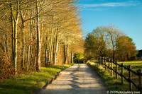 Copenhagen countryside